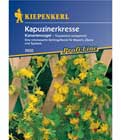 Kanarienvogelblume