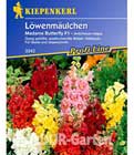 BALDUR-Garten: Löwenmäulchen ´Madame Butterfly´ F1