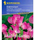 Edelwicke ´Royal Rosa´